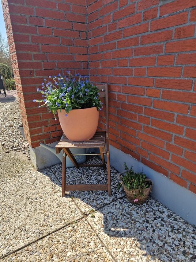 Ferienwohnung in Fehmarn - Haus Fehmarn am Dorfteich | Wohnung 1 S&uuml;d - Bild 23