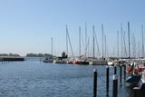 Ferienwohnung in Fehmarn OT Lemkenhafen - Lüttes Glück - Bild 19