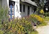 Ferienwohnung in Zingst - Achtern Diek Haus 8 Wohnung 3 - Bild 2