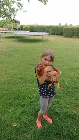 Ferienwohnung in Fehmarn OT Schlagsdorf - FeWo Nr. 1 - 4-Personen - Bild 23