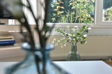 Ferienhaus in Grömitz - Am Schoor Bungalow 12 - Bild 8