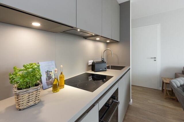 Ferienwohnung in Gr&ouml;mitz - Wohnung 6- Liebefeld - Bild 10