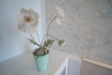 Ferienwohnung in Gr&ouml;mitz - Carpe Diem - Bild 9
