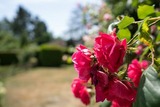 Ferienwohnung in Gr&ouml;mitz - Carpe Diem - Bild 22