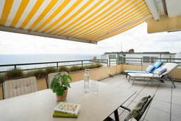 Miramar Seestern