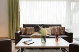 Ferienwohnung in Scharbeutz - Haus Baltic Ostseeidylle - Bild 6