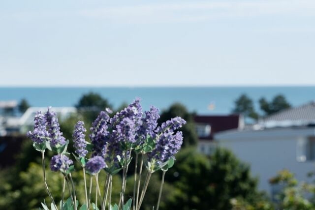 Ferienwohnung in Dahme - Berolina Seeblick - Bild 8