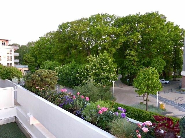 Ferienwohnung in Scharbeutz - Appartementhaus Terrassenhügel Strandhüpfer - Bild 11