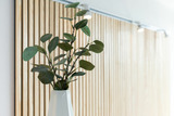 Ferienwohnung in Wendtorf - Marina Wendtorf Probsteiblick - Bild 5