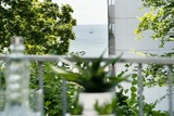 Ferienwohnung in Gr&ouml;mitz - Residenz am Yachthafen- Ostseebl&uuml;te - Bild 11