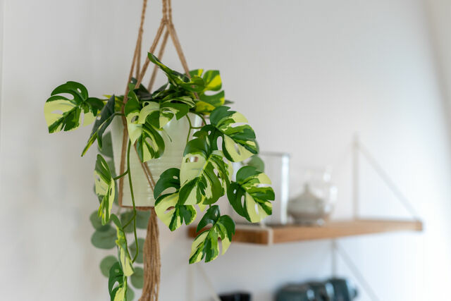 Ferienwohnung in Heikendorf - Dock 53 - Bild 7 Ferienwohnung in Heikendorf - Dock 53 - Bild 7