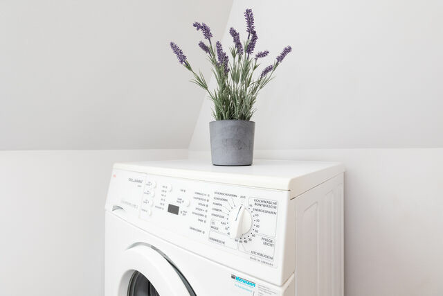 Ferienwohnung in Heikendorf - Dock 53 - Bild 22 Ferienwohnung in Heikendorf - Dock 53 - Bild 22