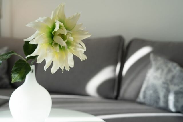 Ferienwohnung in Kellenhusen - Haus Seeblick Paul - Bild 7