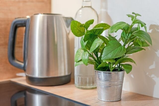 Ferienwohnung in Timmendorfer Strand - Wohnung 113 - Bild 13 Ferienwohnung in Timmendorfer Strand - Wohnung 113 - Bild 13