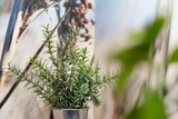 Ferienwohnung in Scharbeutz - Steffis Vogelnest - Bild 16