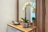 Ferienwohnung in Scharbeutz - Hansa 3 Piontek Strandblick - Bild 5