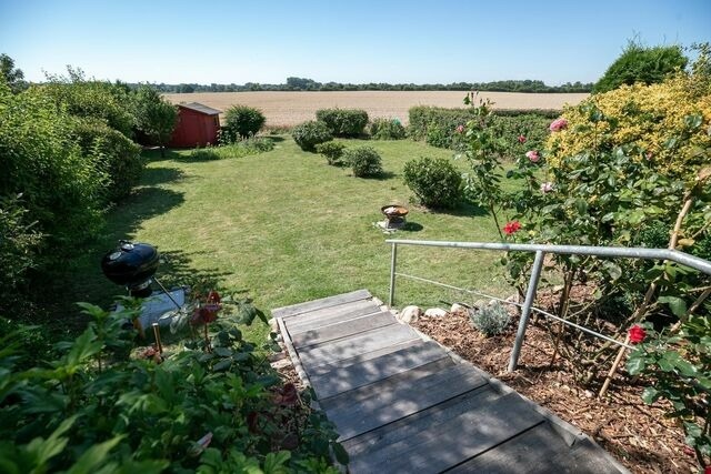 Ferienhaus in Lenste - Rosengarten am Feldrand - Bild 10