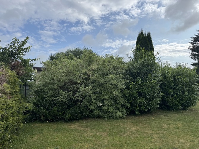 Ferienwohnung in Rövershagen - Sonne und Me(eh)r (Niederhagen) - Garten Ferienwohnung in Rövershagen - Sonne und Me(eh)r (Niederhagen) - Garten