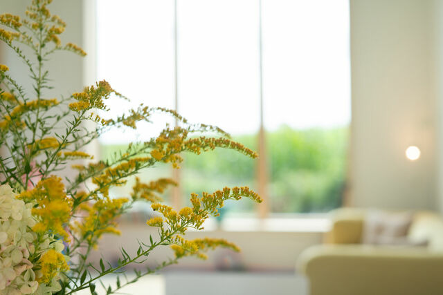 Ferienhaus in Riepsdorf - Haus am See - Bild 7 Ferienhaus in Riepsdorf - Haus am See - Bild 7