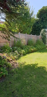 Ferienwohnung in Heiligenhafen - FeWo Todeskino "Strandgut" in Heiligenhafen - Bild 21
