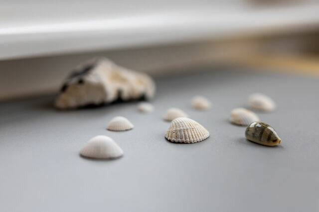 Ferienwohnung in Schönberg - Strandkorb - Bild 7 Ferienwohnung in Schönberg - Strandkorb - Bild 7