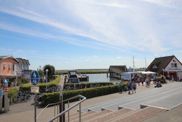 Ferienwohnung in Zingst - Ferienwohnung B&ouml;ttcher - Bild 15