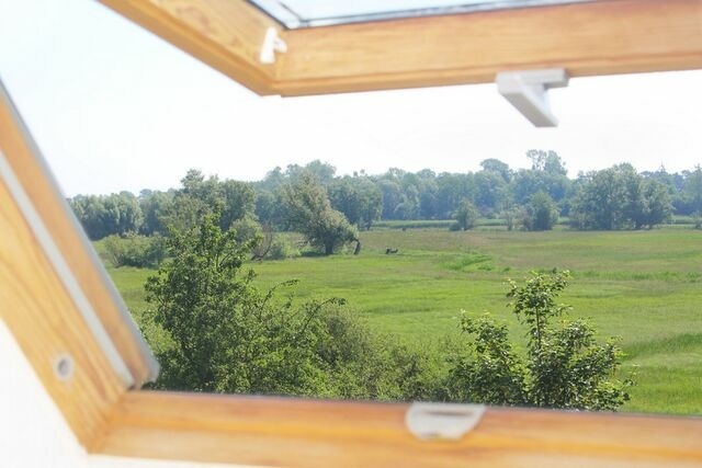 Ferienwohnung in Boltenhagen - Ferienwohnung Blau-Gelb - Bild 24