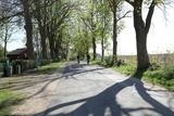 Ferienwohnung in Boltenhagen - Ferienwohnung Tilda - Bild 13