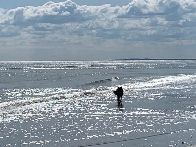 Ferienwohnung in G&ouml;hren - Villa Fernsicht G&ouml;hren Fewo Nr.6 1.OG - Bild 9