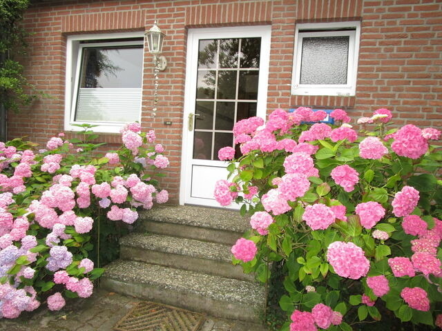 Ferienwohnung in Fehmarn - Haus "Am Apfelbaum" Wohnung 4 - Bild 8
