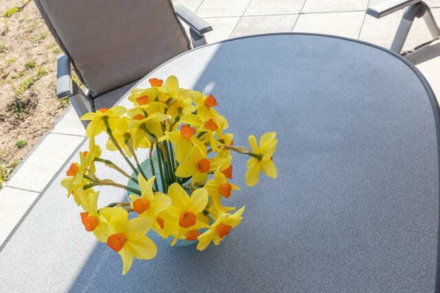 Ferienwohnung in Lauterbach - Alte Fischfabrik InselGl&uuml;ck - Bild 15