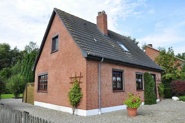 Ferienhaus in Kappeln OT Olpenitz - Ferienhaus Ewoldt - Bild 4