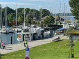 Ferienwohnung in Niendorf/Ostsee - Gestrandet - Bild 20