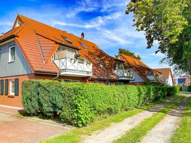 Ferienwohnung in Zingst - Boddenliebe - Bild 2