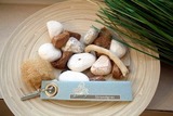 Ferienwohnung in Timmendorfer Strand - Strandgras - Bild 22