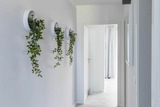Ferienwohnung in Hohenkirchen-Niendorf - Haus Seeblick Wohnung 07 - Bild 13