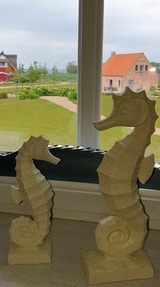 Ferienhaus in Zierow - Reethaus "Seepferdchen" - Bild 12