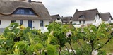 Ferienhaus in Zierow - Reethaus "Seepferdchen" - Bild 21