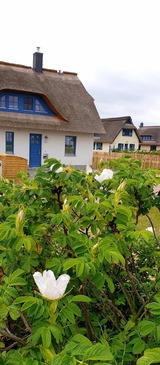 Ferienhaus in Zierow - Reethaus "Seepferdchen" - Bild 22