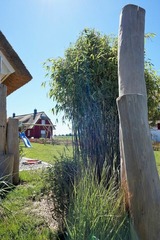 Ferienhaus in Zierow - Reethaus "Nicole****" - Bild 23