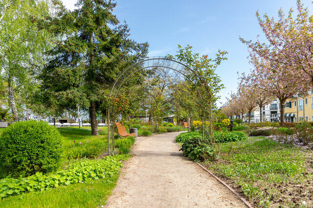 Ferienwohnung in Baabe - Ferienwohnung 15 "Jasmund" - Bade- & Erlebniswelt t&auml;glich inklusive - Bild 19
