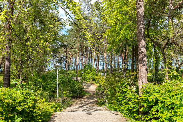 Ferienwohnung in Baabe - Ferienwohnung 15 "Jasmund" - Bade- & Erlebniswelt t&auml;glich inklusive - Bild 24