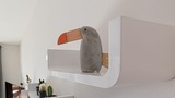 Ferienwohnung in Sellin - Haus Waldidyll, Vergissmeinnicht - Bild 17