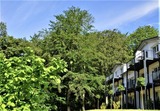 Ferienwohnung in Sellin - Haus Waldidyll, Vergissmeinnicht - Bild 22