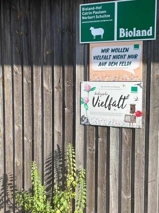 Ferienwohnung in Wagersrott - Ferienwohnung nahe Ostsee & Schlei - Bild 15