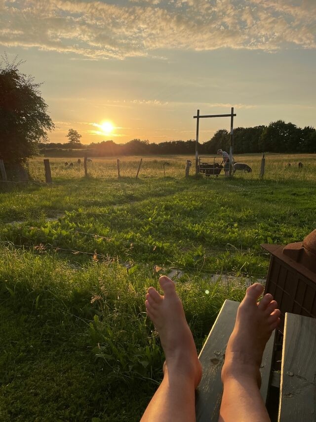Ferienwohnung in Wagersrott - Ferienwohnung nahe Ostsee & Schlei - Bild 22