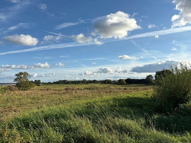 Ferienwohnung in Kronsgaard - Ferienwohnung Ostseeperle - Bild 25