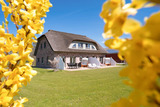 Ferienhaus in Fehmarn OT Gahlendorf - Reiterhof Rickert Kr&auml;uterweide - Bild 13