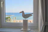 Ferienwohnung in Fehmarn OT Burgtiefe - Strandburg Meereszauber mit TraumOstseeblick - Bild 8