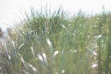 Ferienwohnung in Fehmarn OT Burgtiefe - Strandburg Meereszauber mit TraumOstseeblick - Bild 25